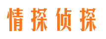 宁陵市调查公司